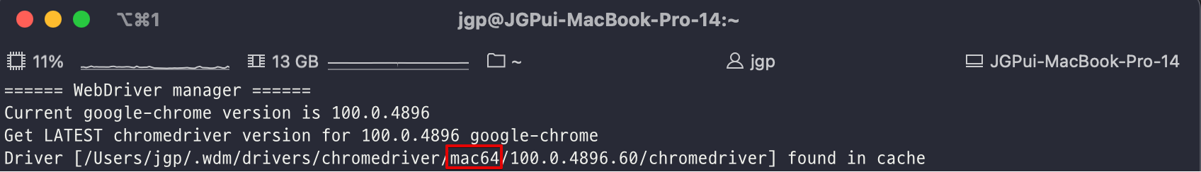 Chromedriver for Intel downloaded on Apple Silicon Mac · Issue #360 ...