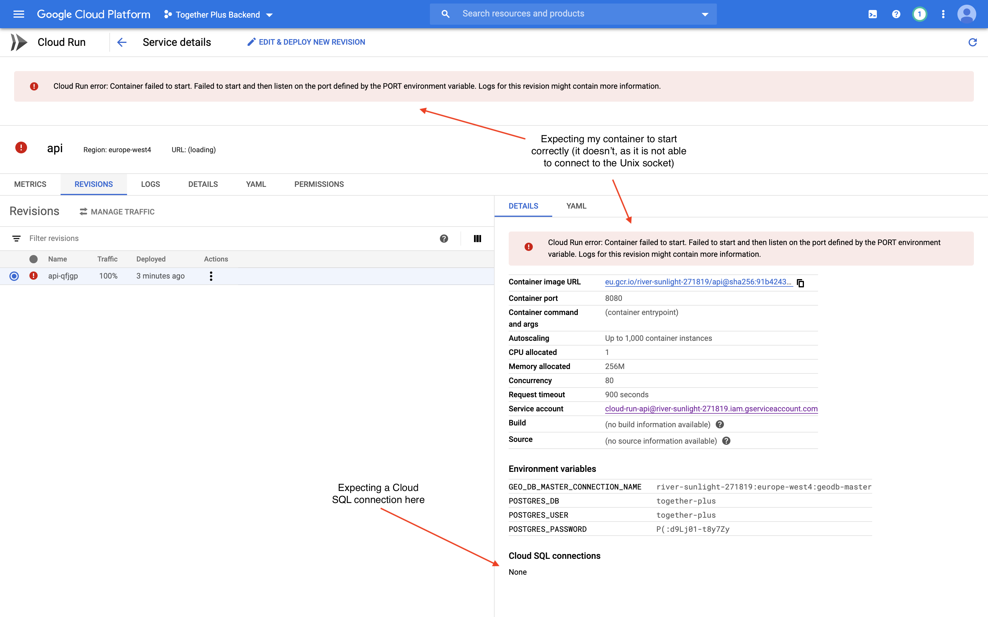Unable to connect to Cloud SQL from Cloud Run using Terraform · Issue ...