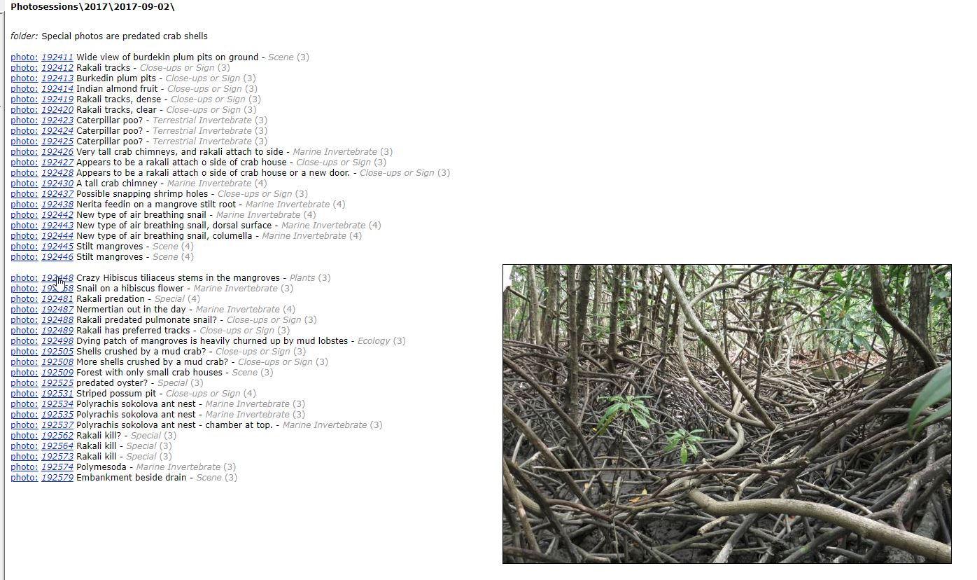Getting gpap data into QGIS 3 via kml/kmz (my feedback) · Issue #522