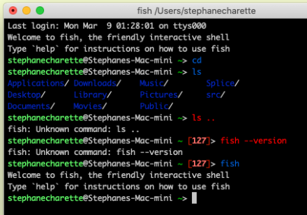 Cannot run any commands with parameters after installing fish · Issue ...