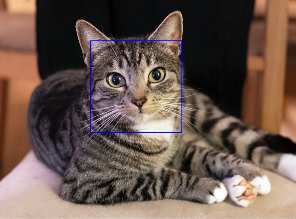 GitHub - davindratulsi/ShapeDetection: Python project based on edge ...