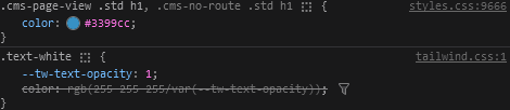 css-issue