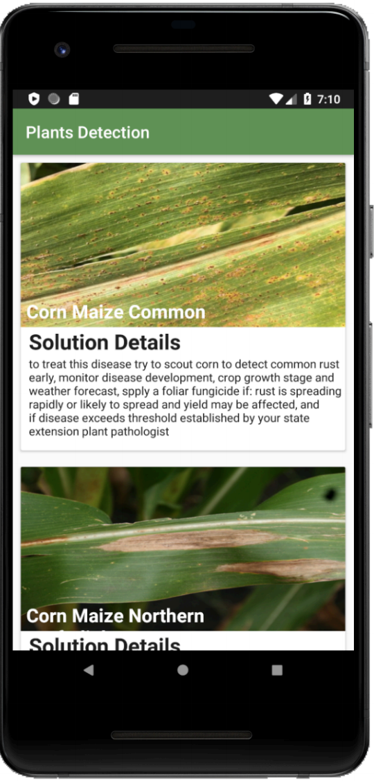 GitHub - NorahAlShaikhMubarak/PlantsApp: Plants App is my graduation ...