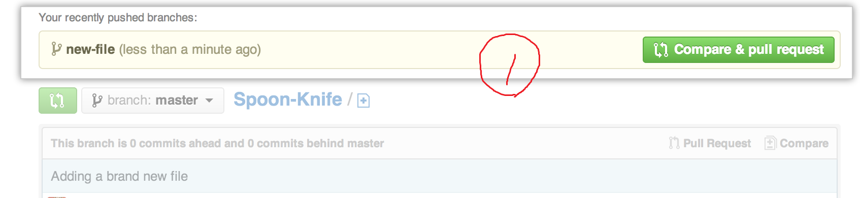 recently_pushed_branch