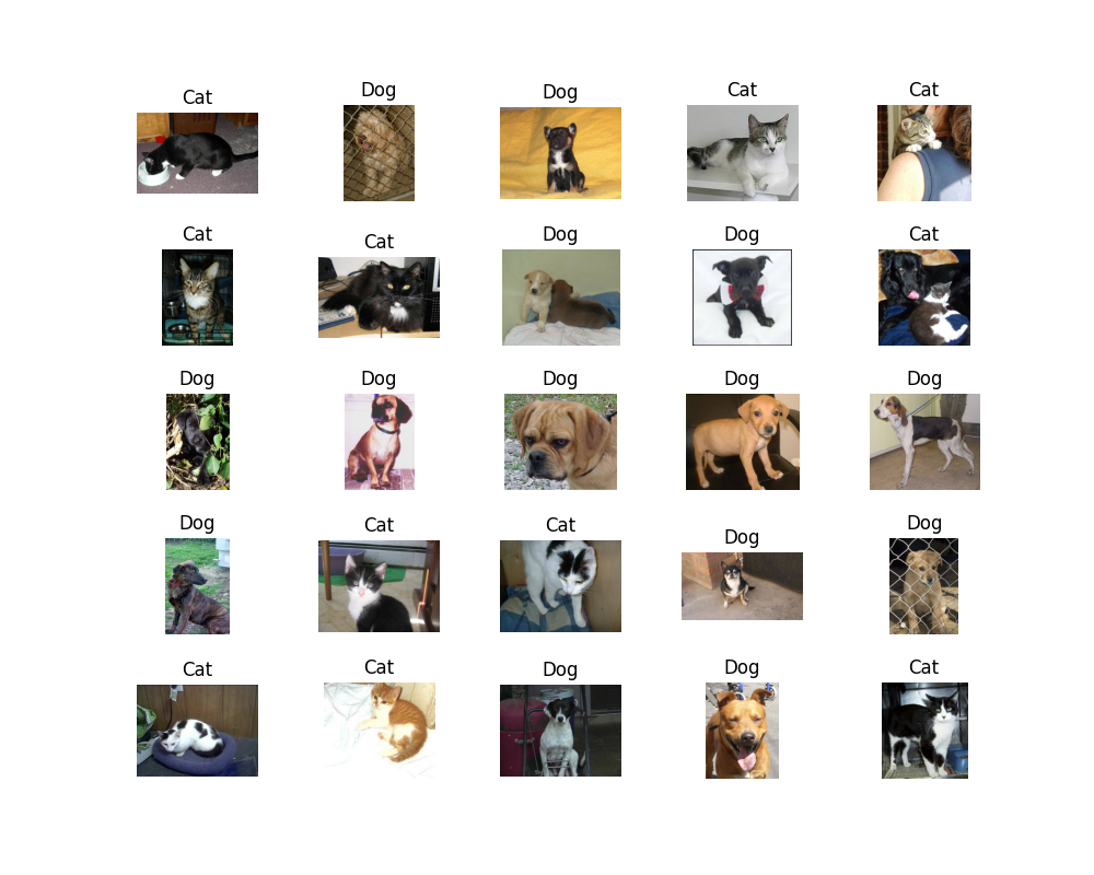 GitHub - Gnopal1132/DogsVsCat: Image classification on famous DogVsCat ...