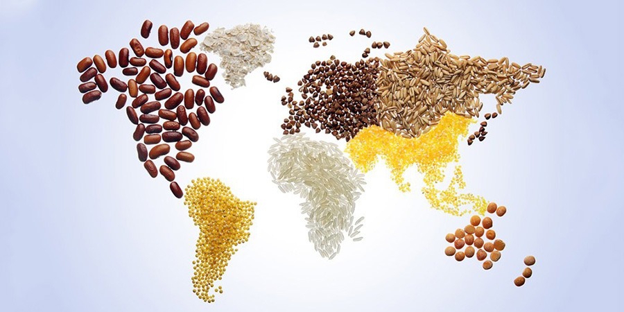 Global Food Prices
