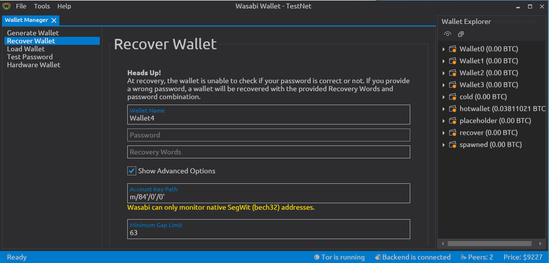 wasabi recover wallet bug2