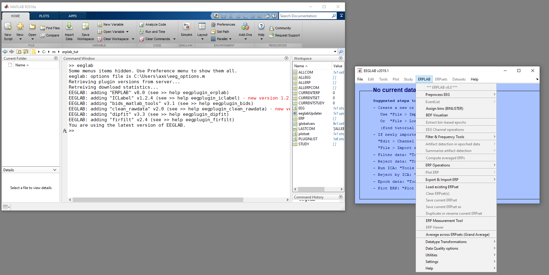 Matlab_env_with_ERPLAB - click for bigger image