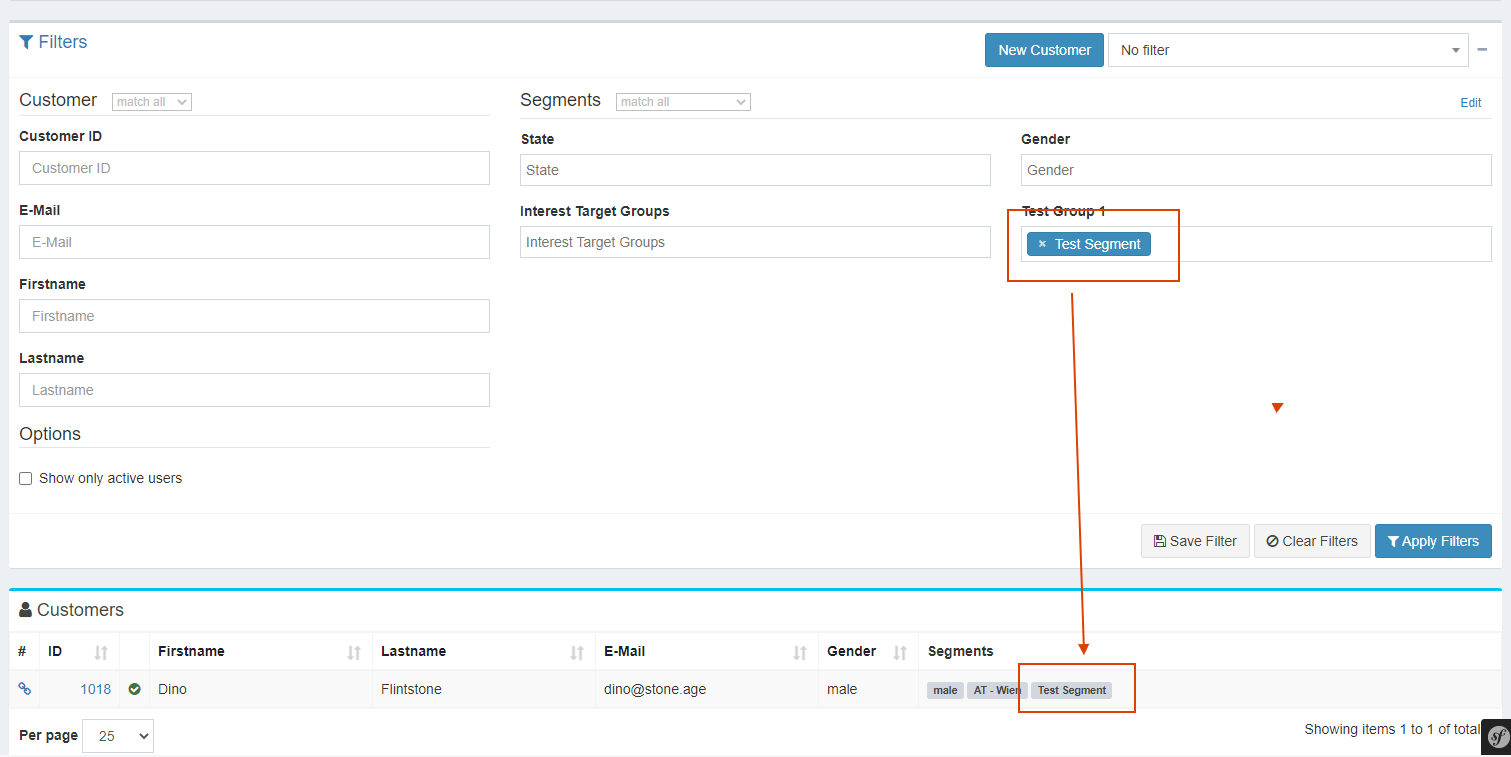 [Bug]: Filter error in customer list if a manual segment is created ...