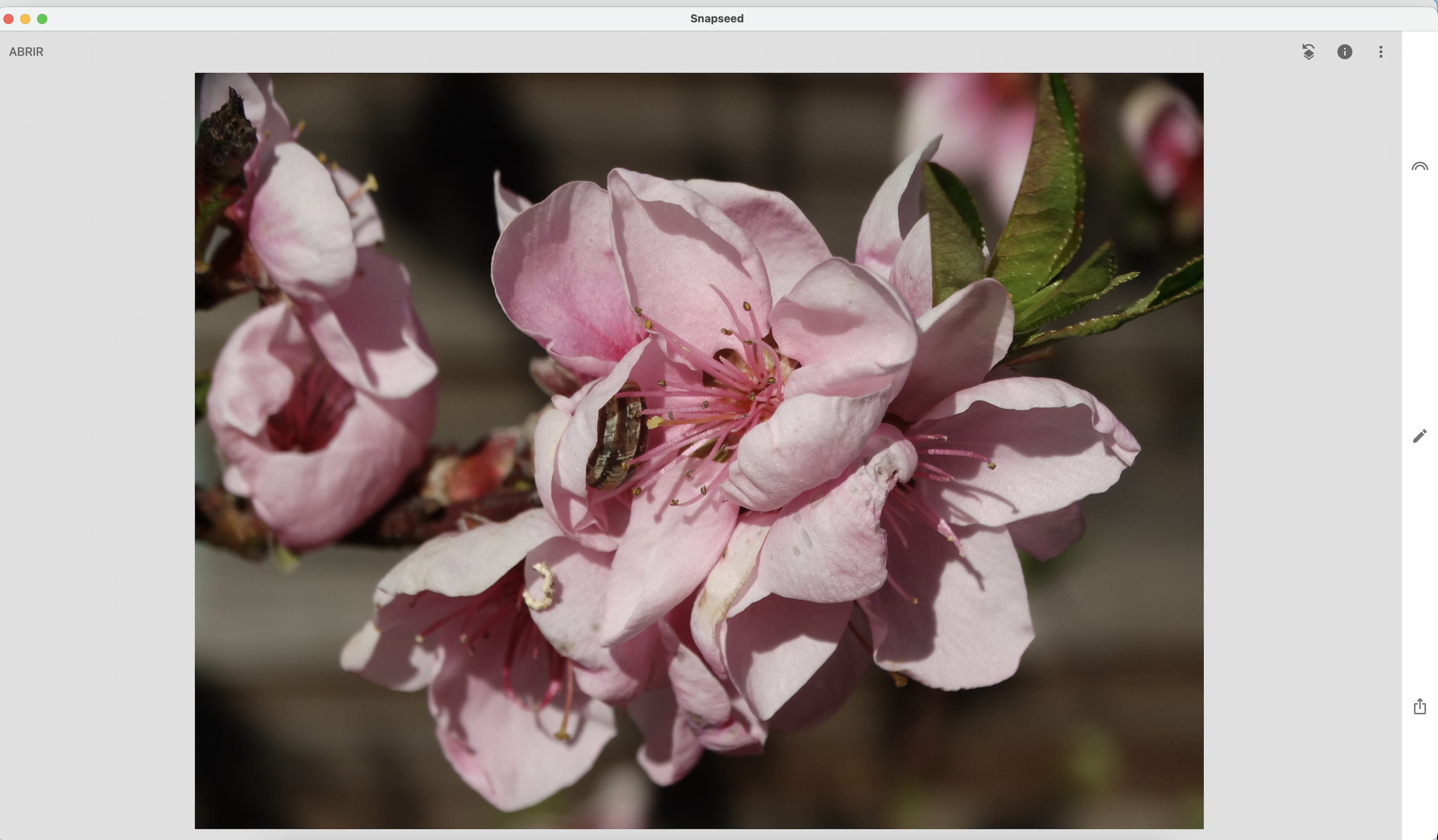 Captura de Pantalla 2022-09-17 a la(s) 18 00 22