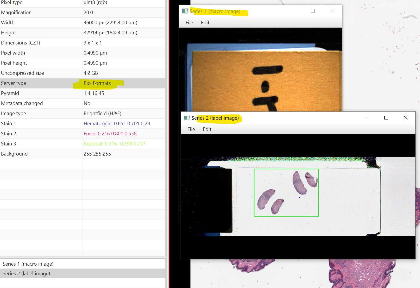 Label and macro images are incorrected indexed since 6 8 0 issue
