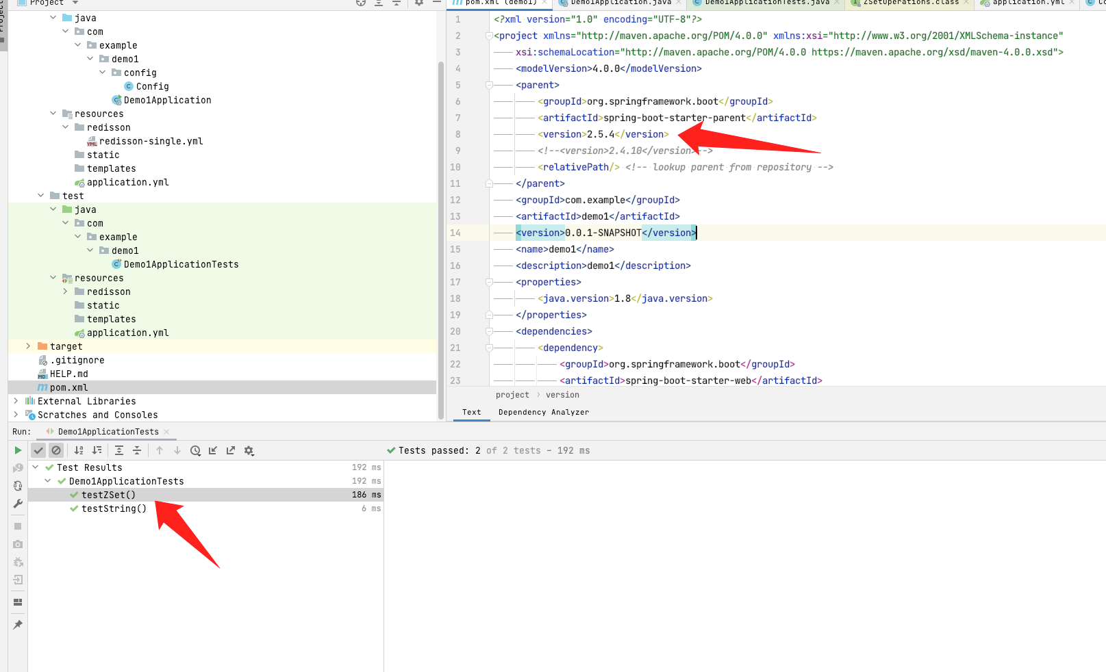 spring boot 2.4.10 with redisson 3.16.2 : zadd command will throw ...