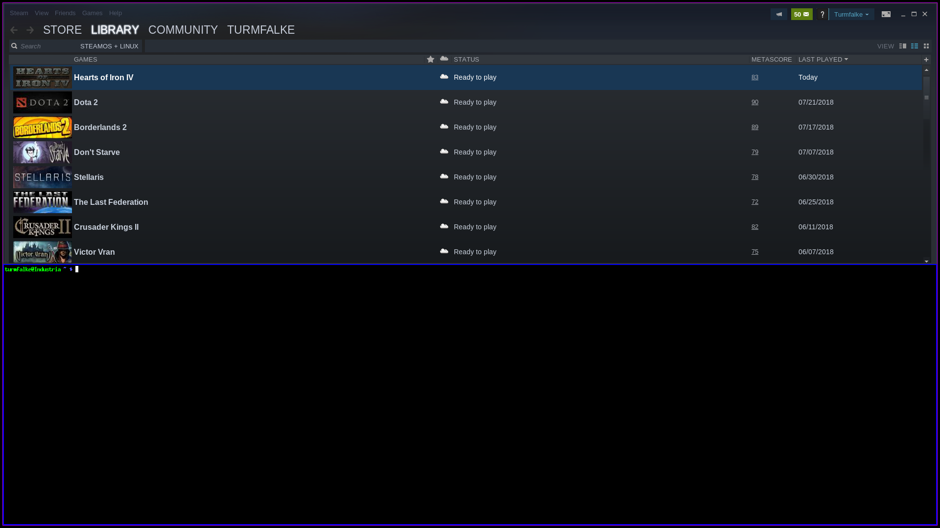 steam_50_size_bottom