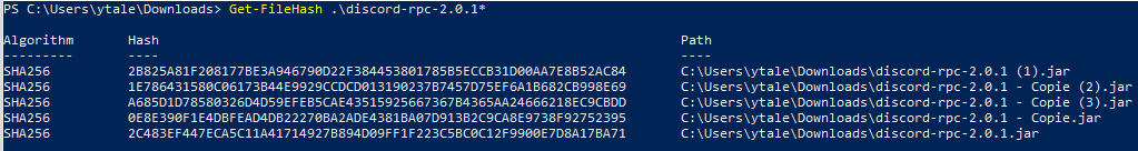 [Bug]: CDN et librairie Discord RPC corrompue · Issue #21 · Paladium ...
