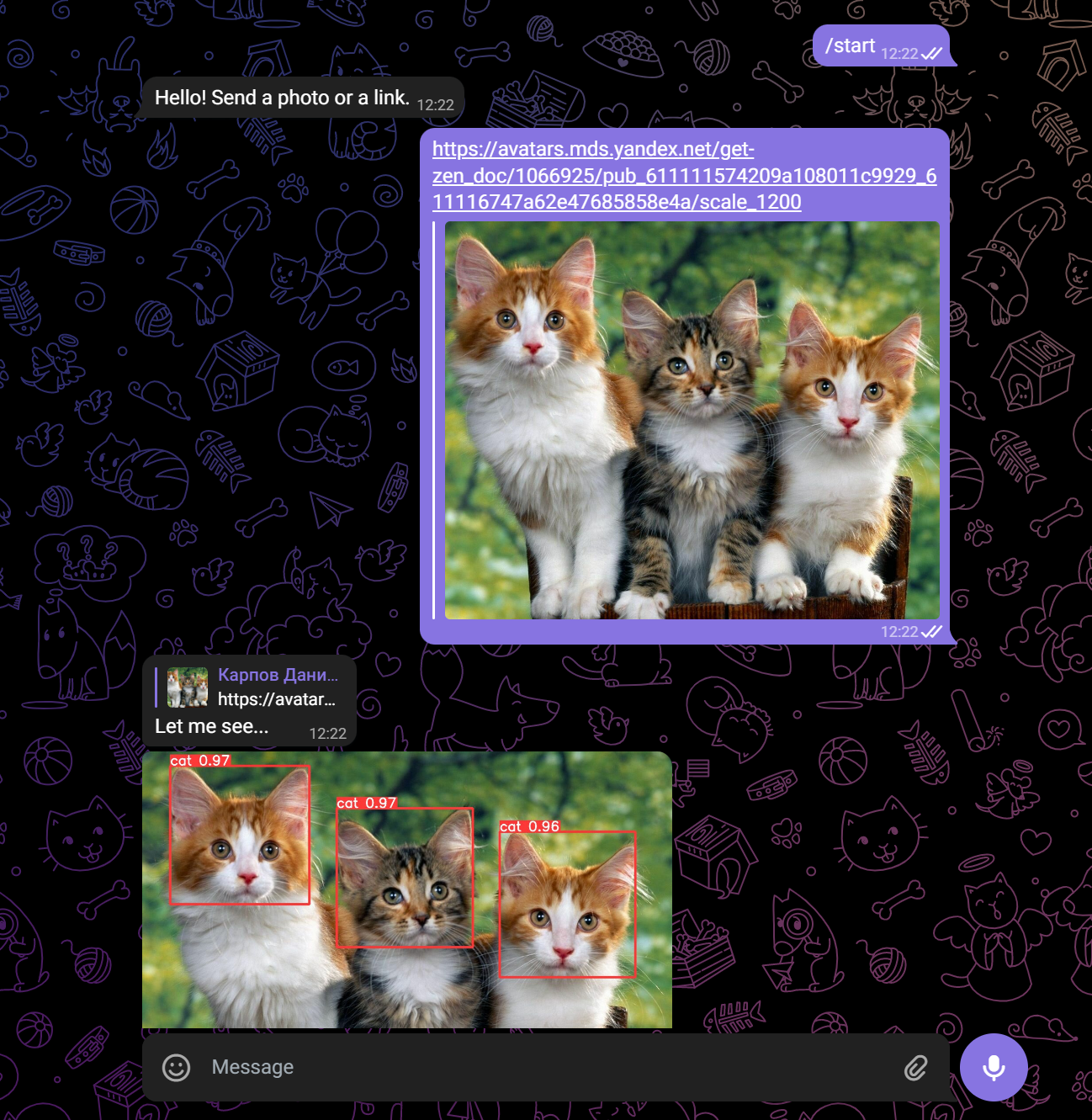 GitHub - Free4ky/YOLO-bot: Telegram bot designed to detect cats and ...