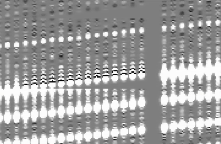 Screenshot from 2020-07-24 10-49-52