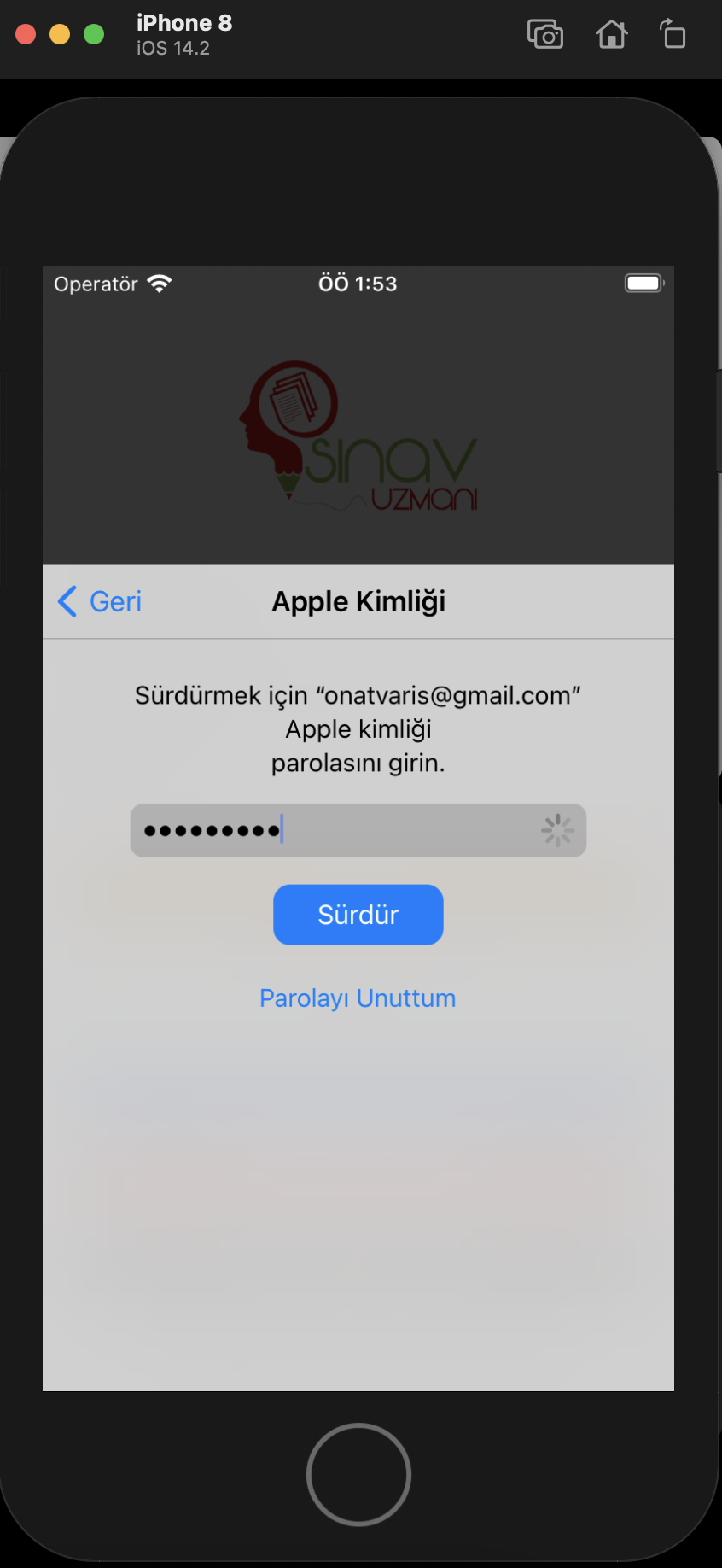 Apple sign in Could Not Connect error · Issue #188 · invertase/react ...