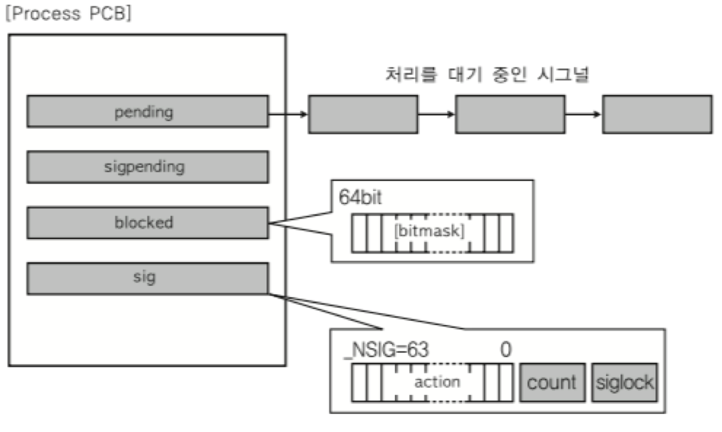 SignalPCB