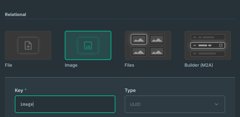 Field Flow Interface Selector Disabled Color · Issue #9164 · directus ...