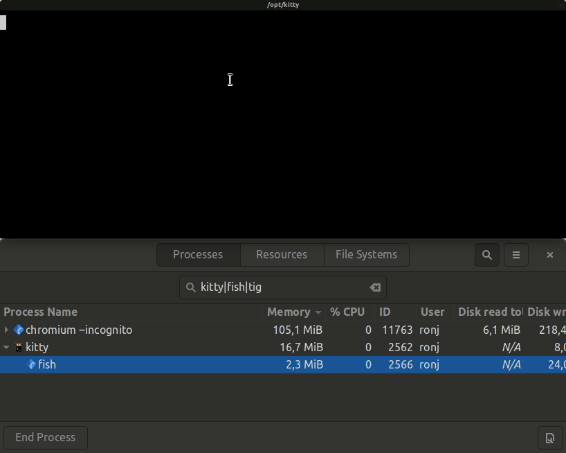 Children processes should be terminated on kitty exit · Issue 1863