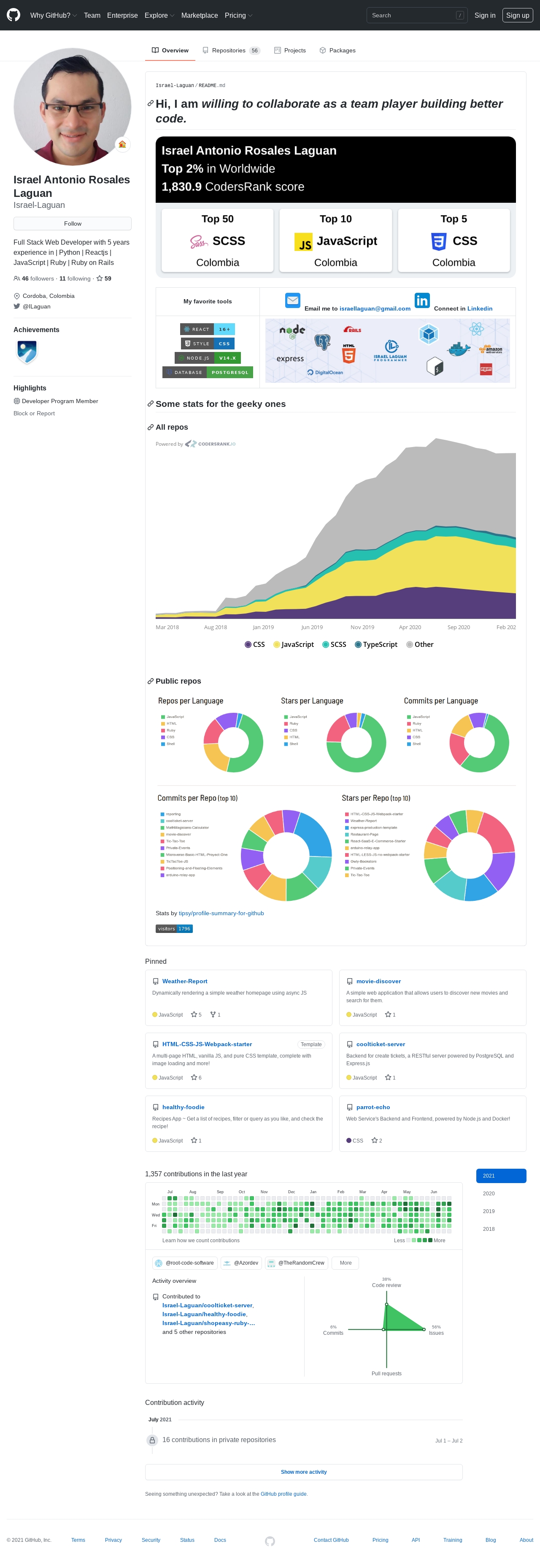 GitHub profile of {{ name }}