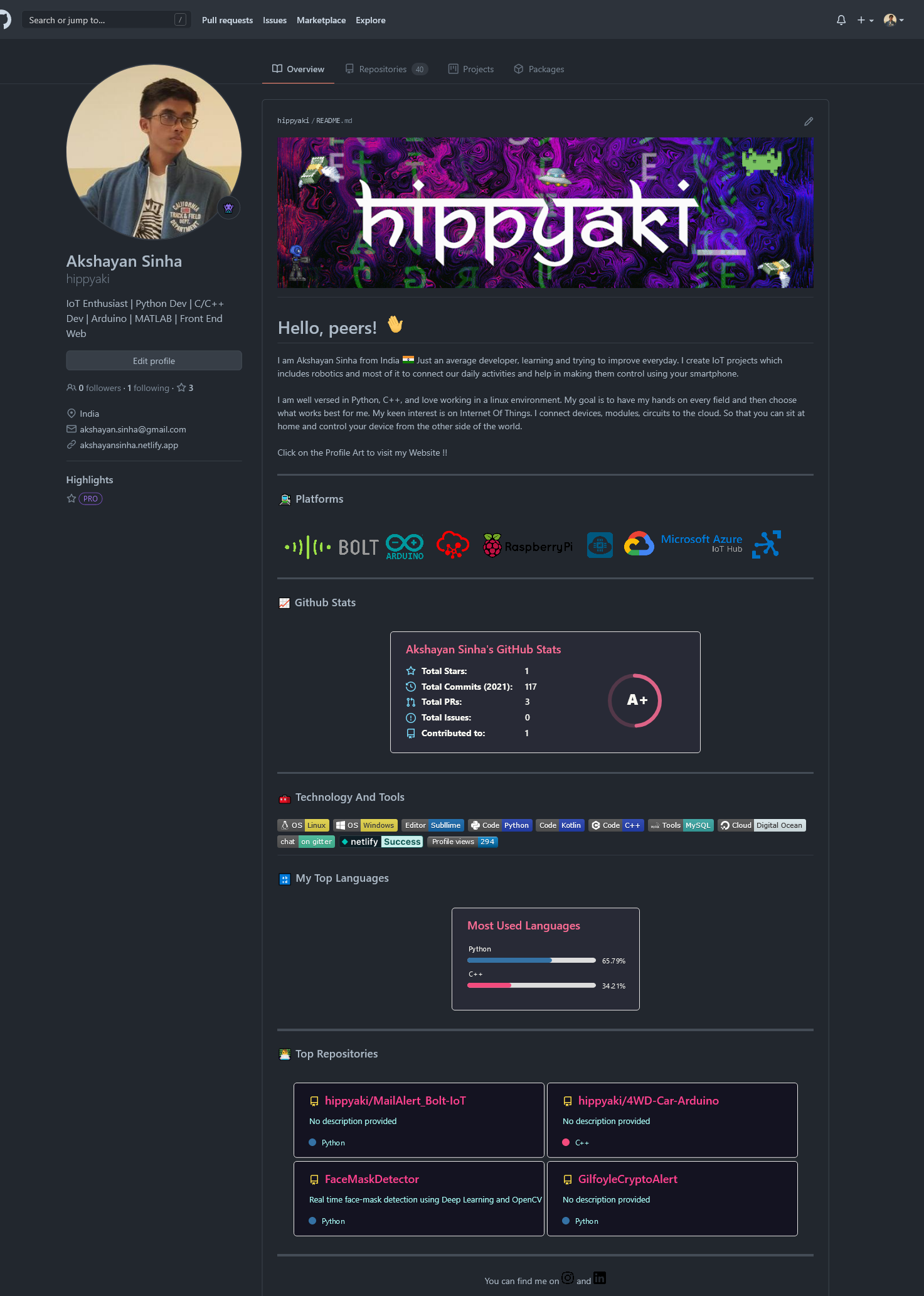 Github Profile - hippyaki