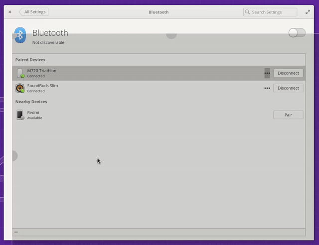 screencast mouse disappearance webm