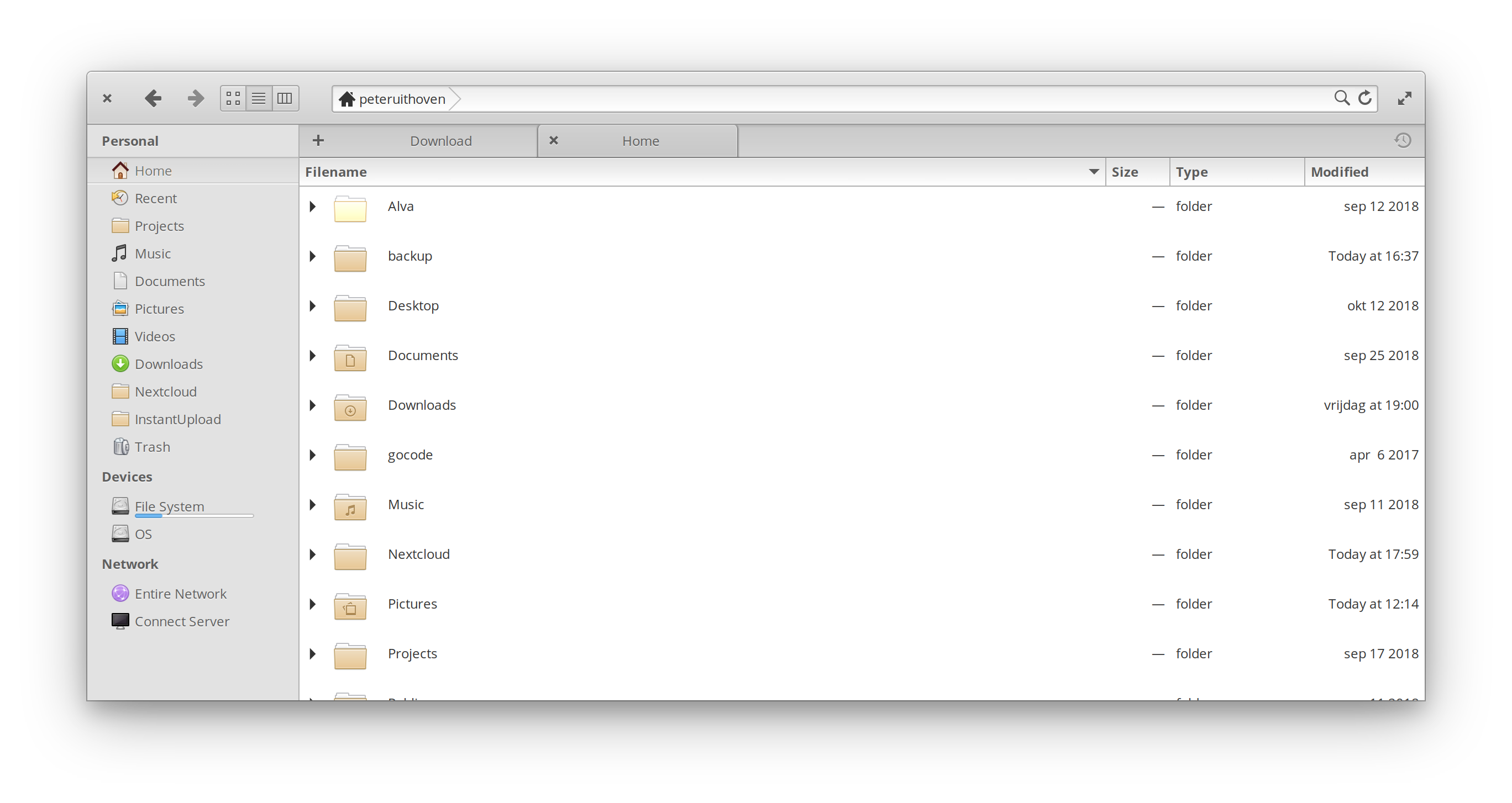 search indicator