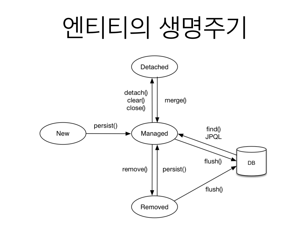 엔티티