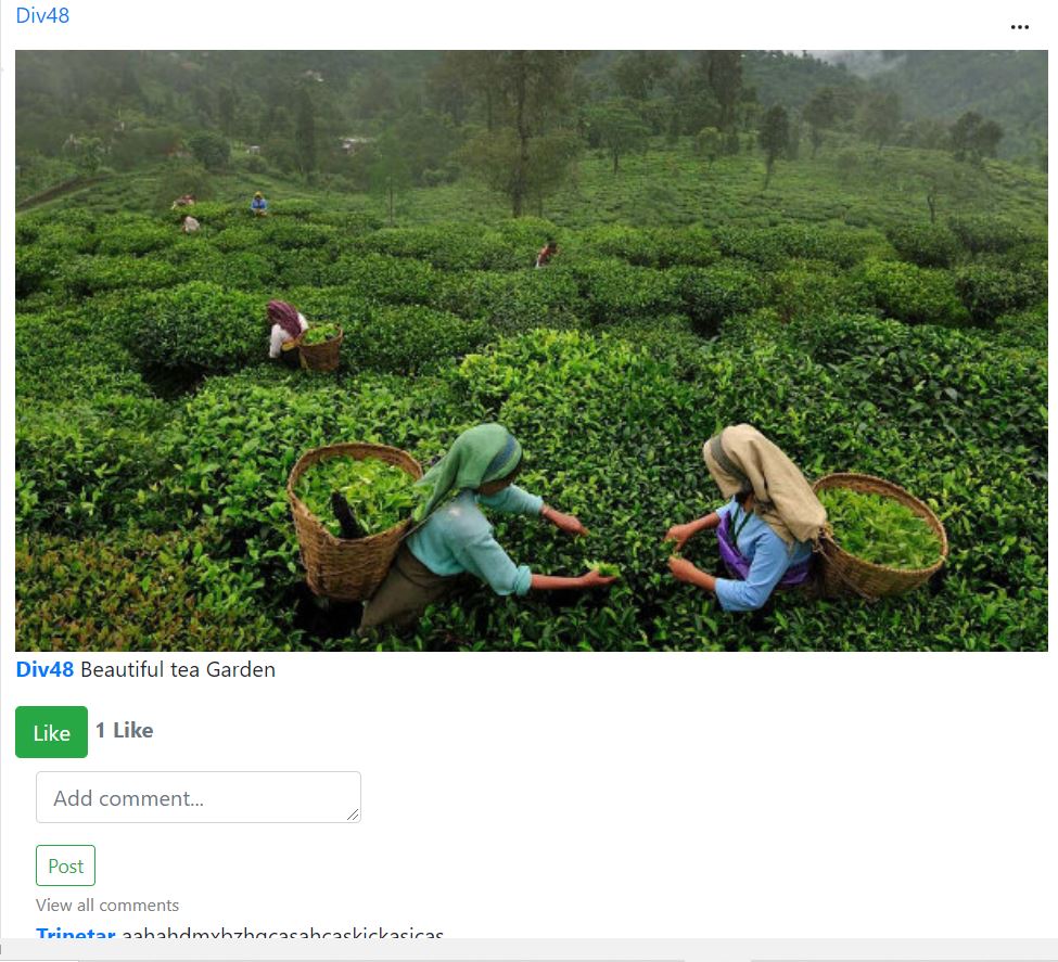 Github div48 chat a social platform for farmers 