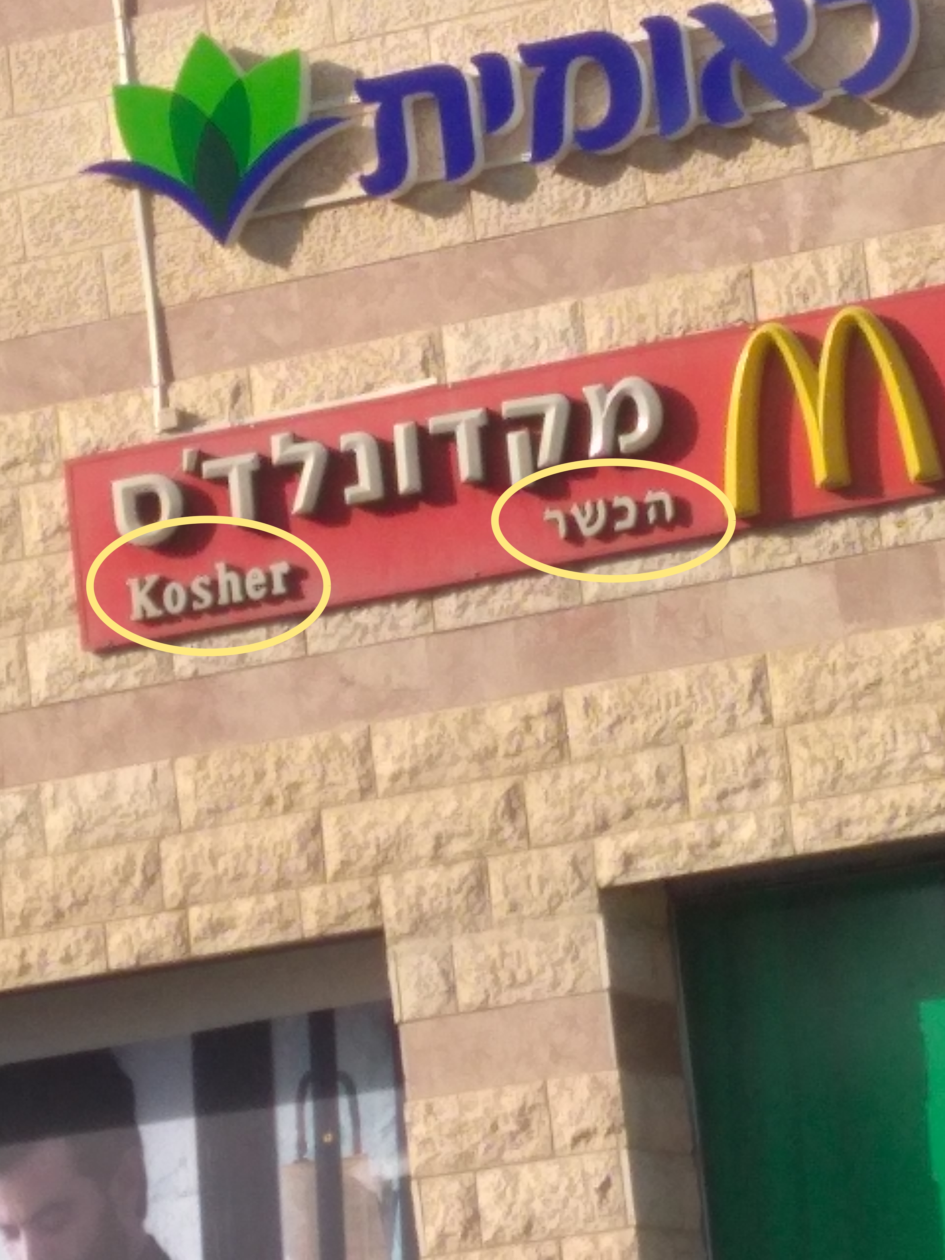 img_20171019_155203b