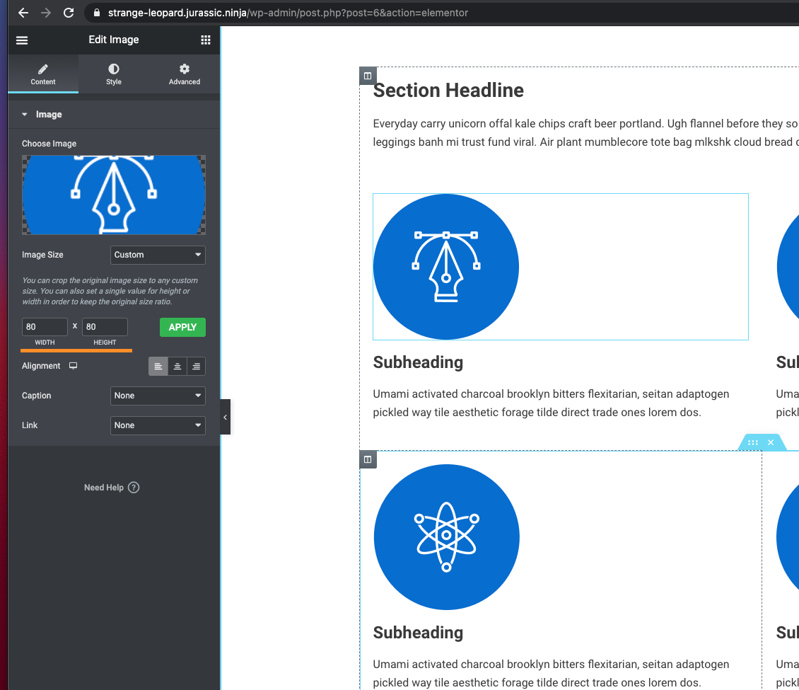 Elementor Custom Image size, is not applied after import · Issue #99 ...