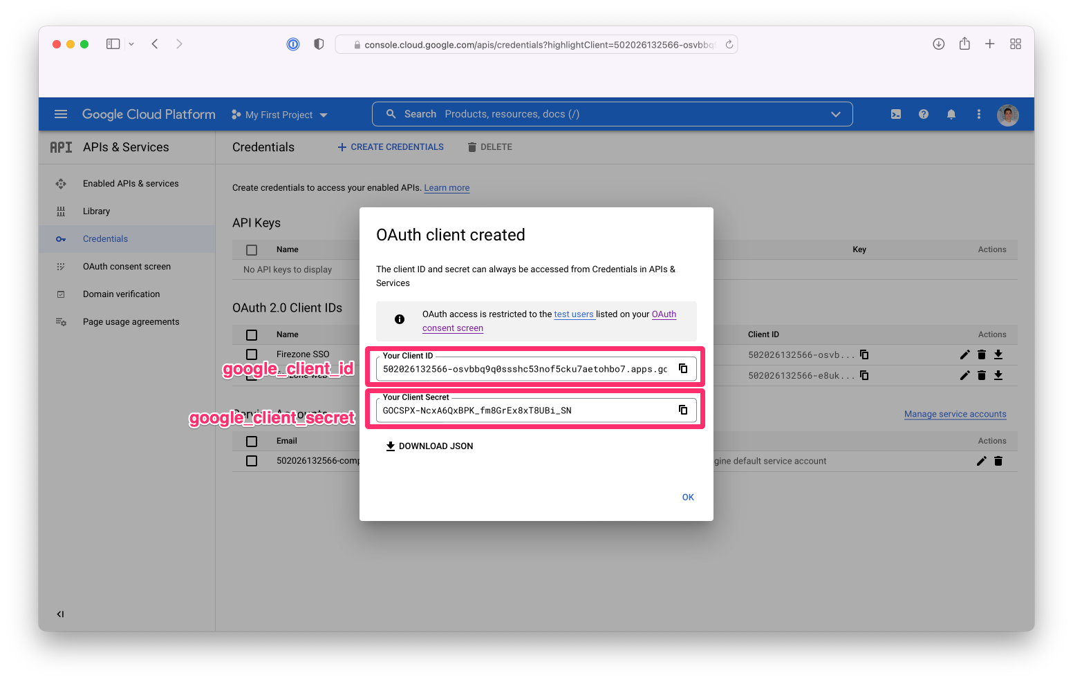 Copy Client ID and Secret
