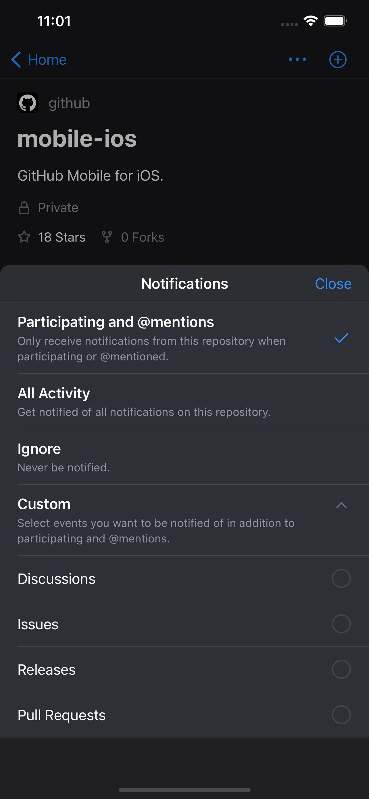 Screenshot of watch settings for an individual repository on GitHub for iOS