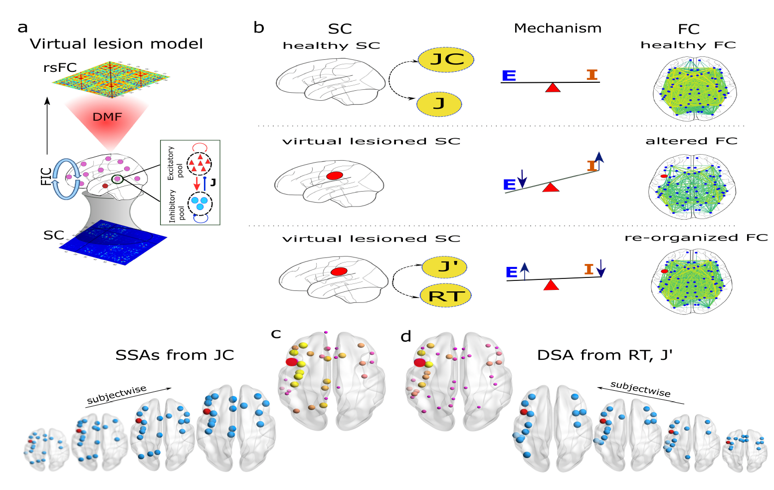 GitHub - dynamicdip/Virtual-Lesion-Project-CBDL: Computational ...