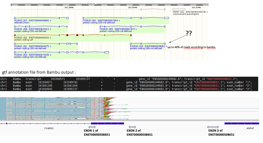 MicrosoftTeams-image (16)