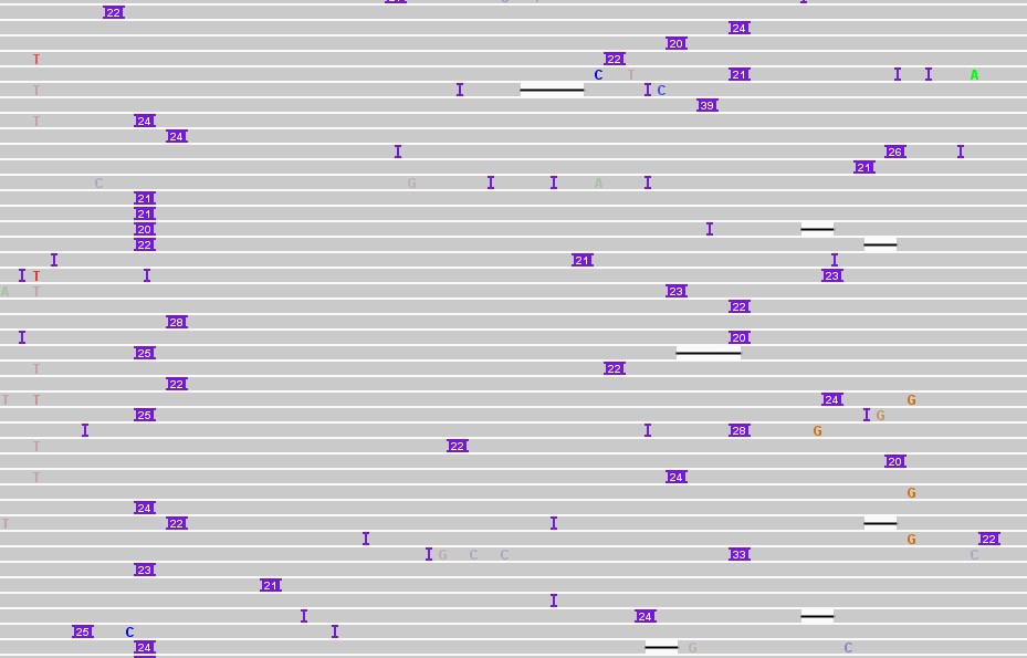 Left-aligning insertion calls? · Issue #315 · lh3/minimap2 · GitHub