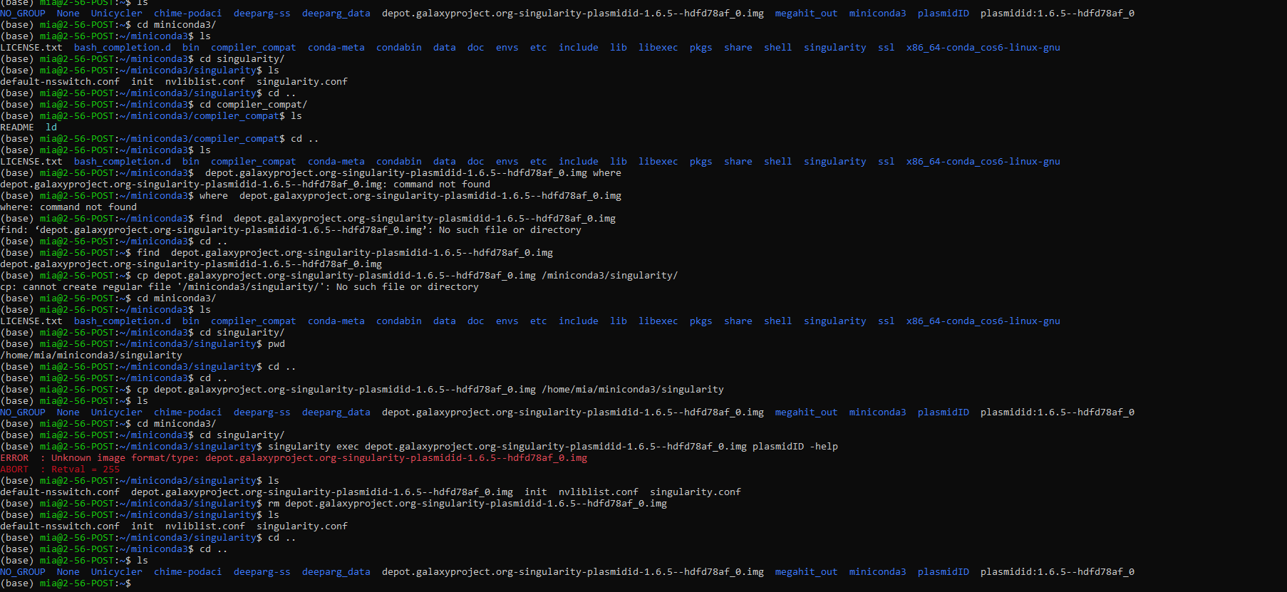 Error with spades_assembly.sh · Issue 21 · BUISCIII/plasmidID · GitHub