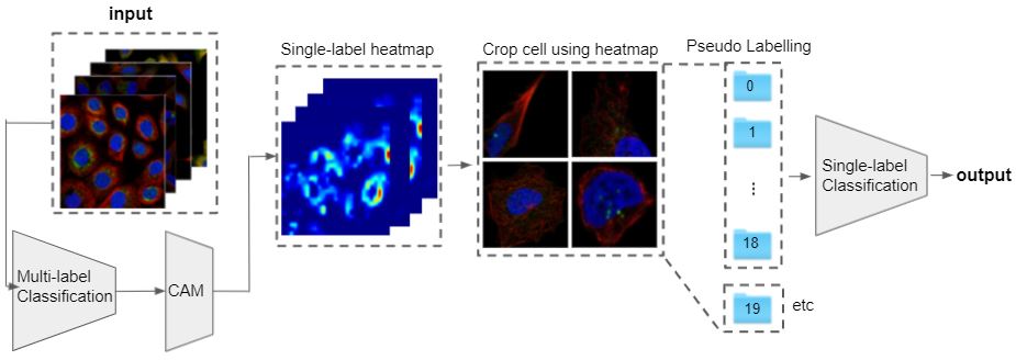 GitHub - cjf8899/Human-Protein-Atlas-Competition-in-Kaggle: :fire:Find ...