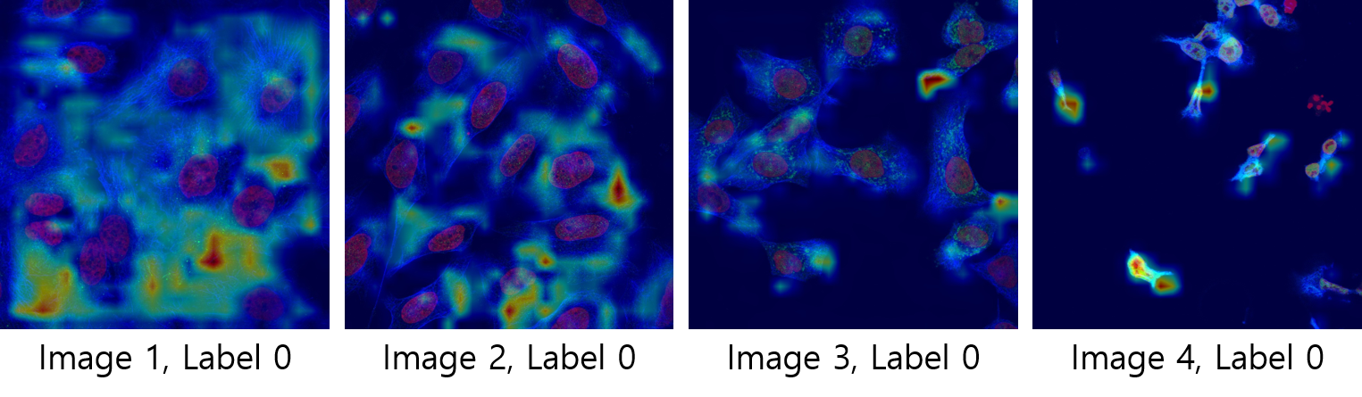 GitHub - cjf8899/Human-Protein-Atlas-Competition-in-Kaggle: :fire:Find ...