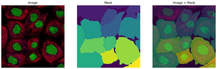 GitHub - cjf8899/Human-Protein-Atlas-Competition-in-Kaggle: :fire:Find ...