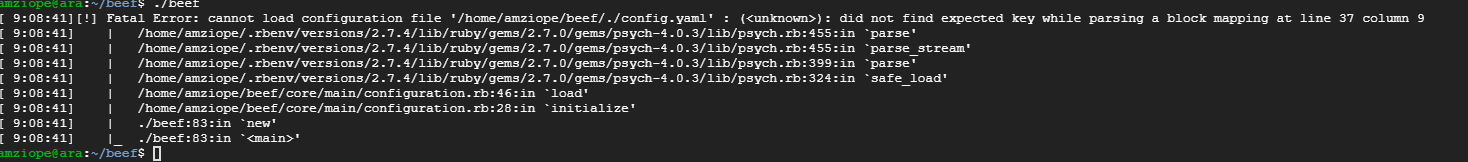 Error loading config file · Issue #2407 · beefproject/beef · GitHub