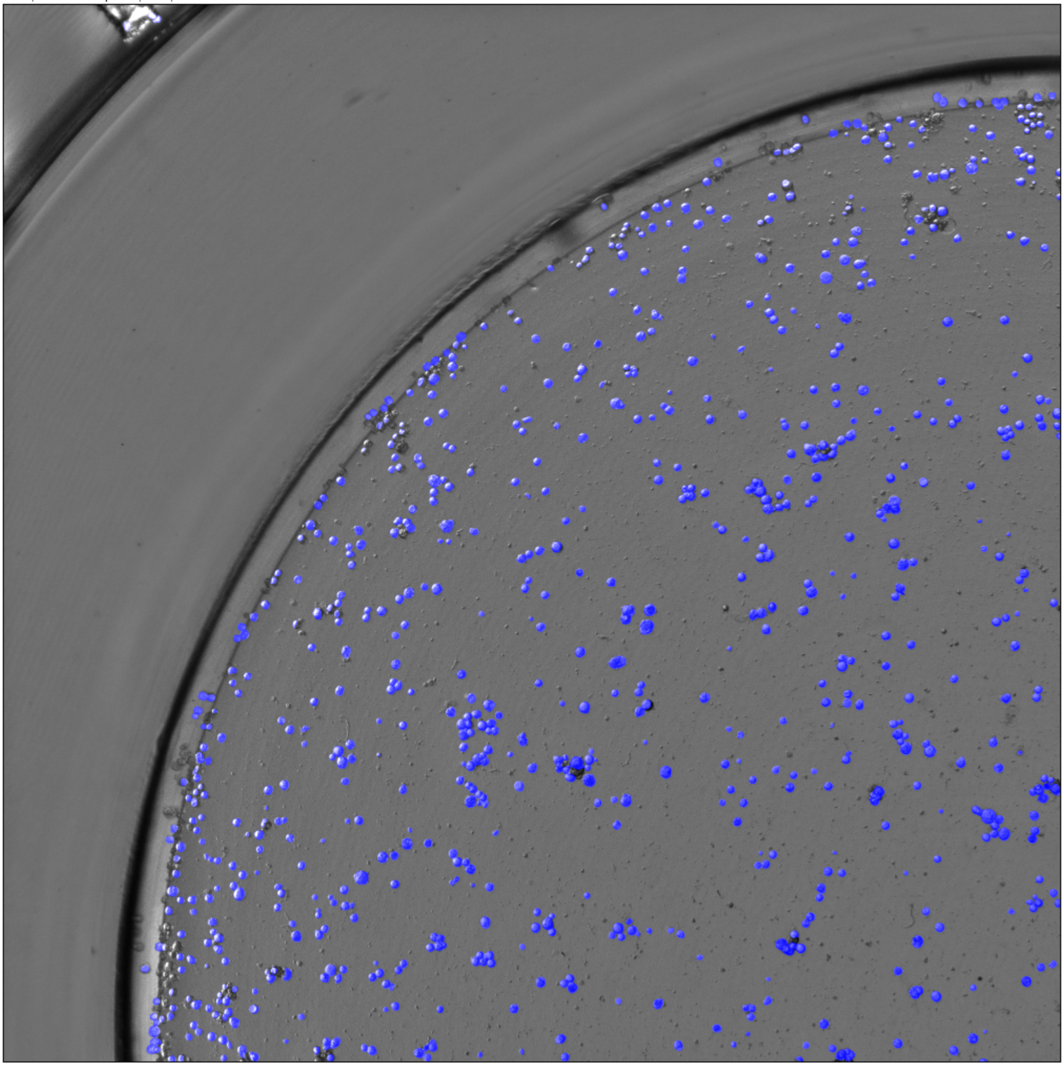 6ae1e0b239f87257fa49bd5211e5c5a