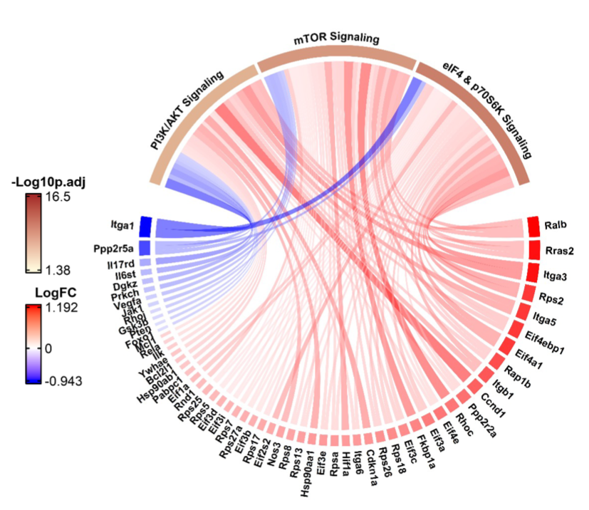 Transcriptomic Atlas GitHub - rsgodoy/Single-Cell-Transcriptomic-Atlas-of-Lung-Microvascular ...