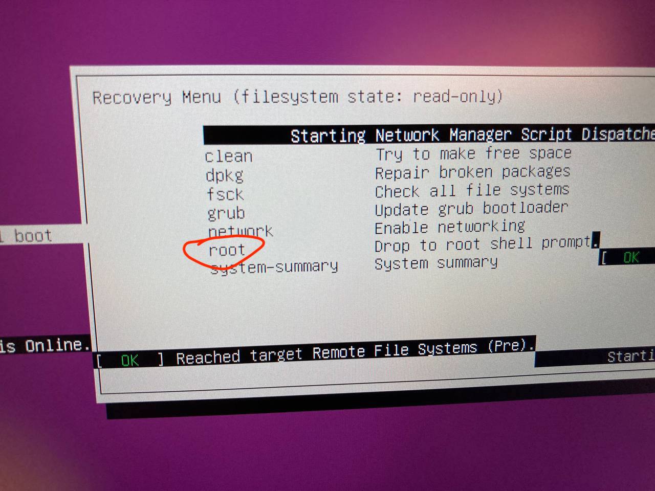 photo_2021-08-17 15 31 58