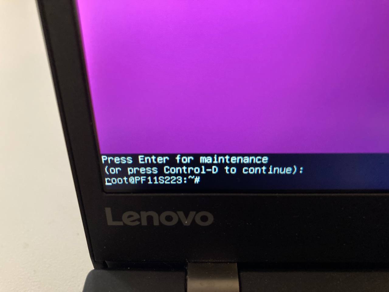 photo_2021-08-17 15 31 55