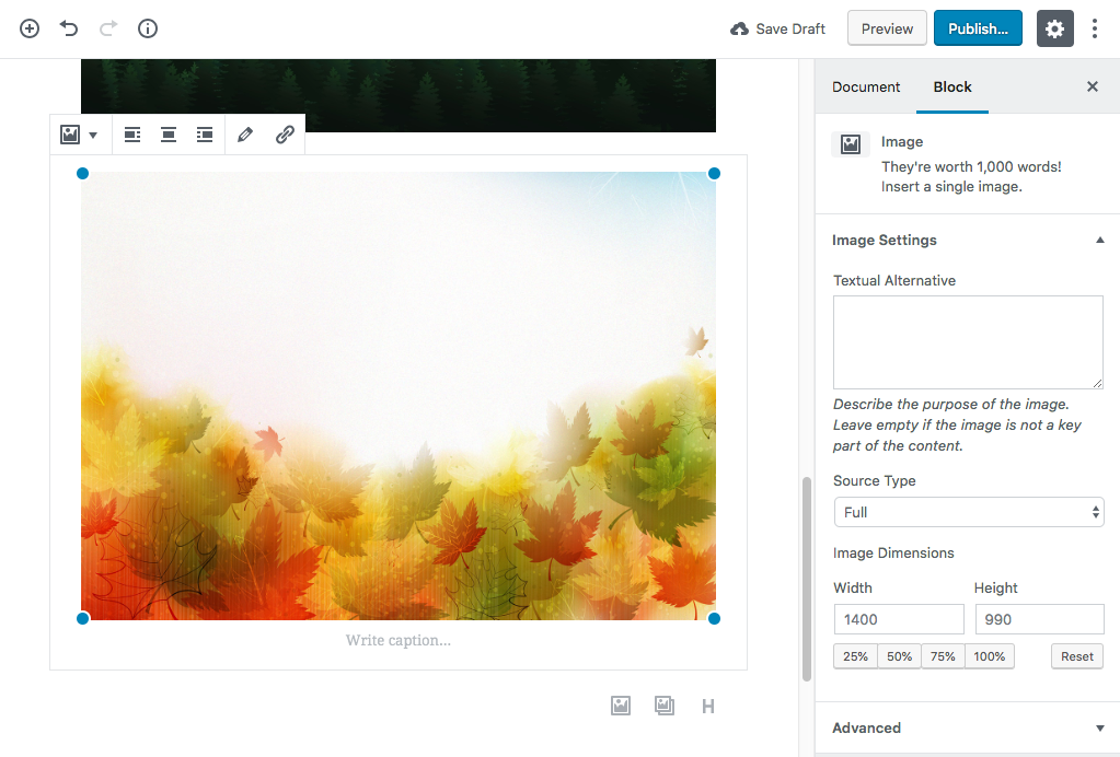 gutenberg-image-block-options