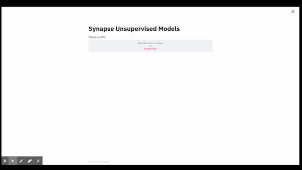 Synapse-unsupervised-models
