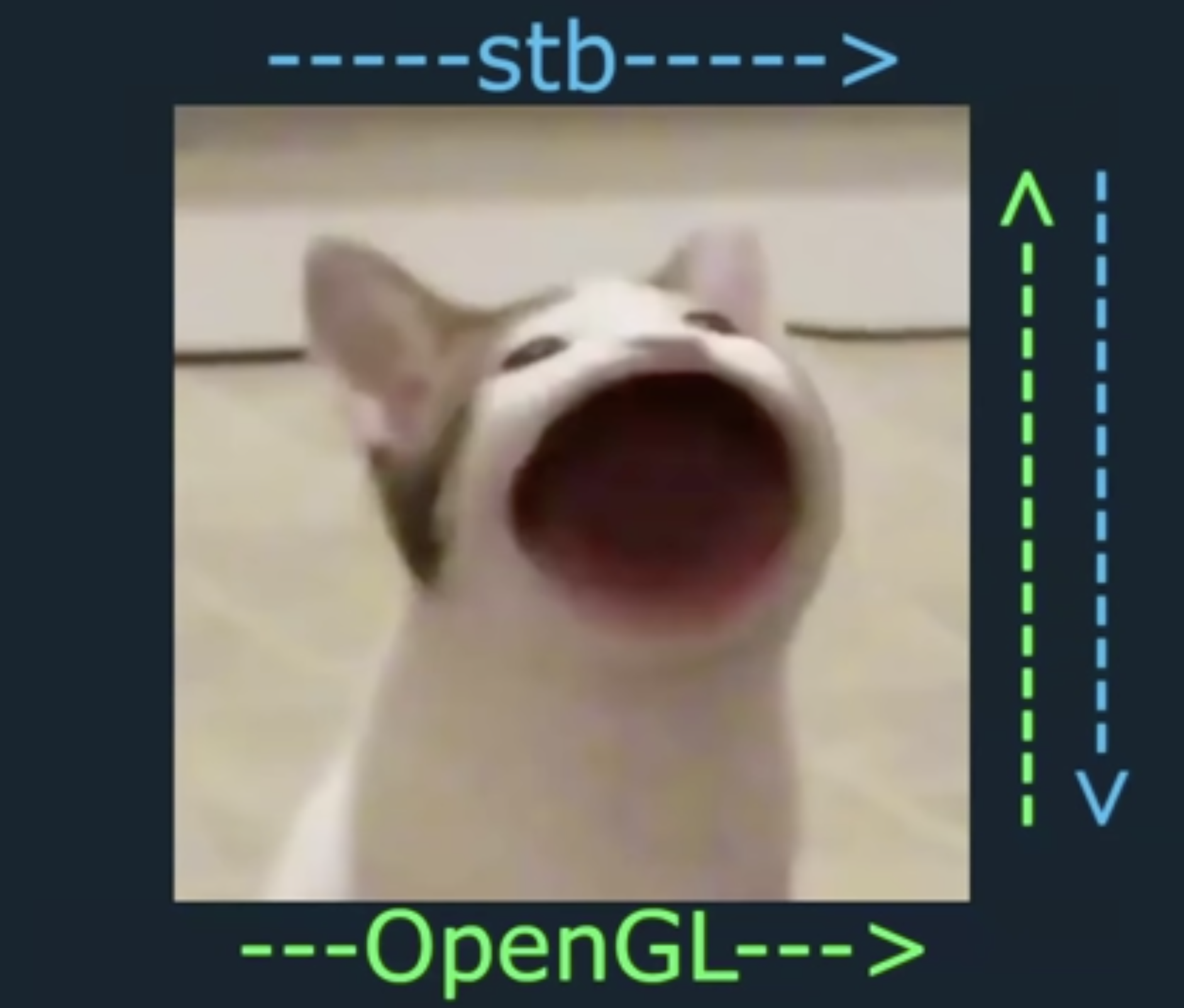 opengl_vs_stb_coords