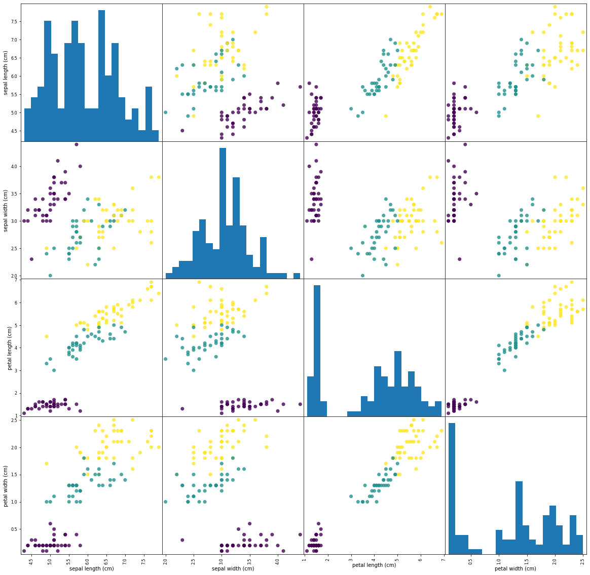 GitHub - Kittycatangel/Iris-Classification